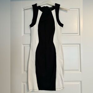 David Lerner Bodycon Dress